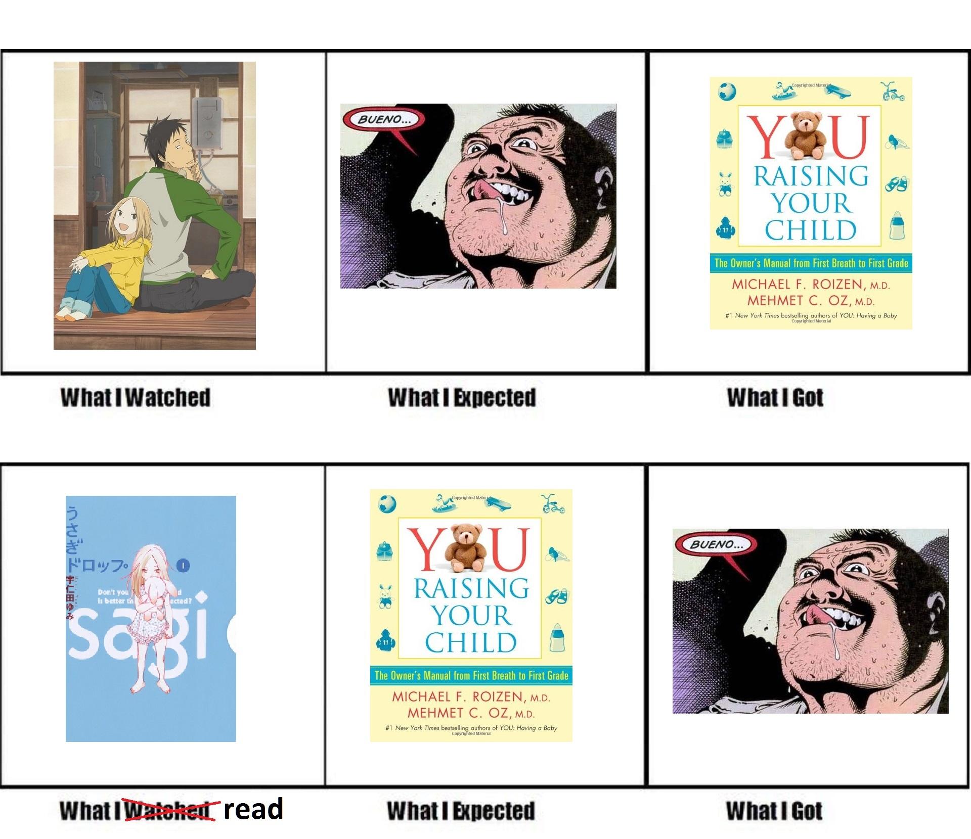 What I Watched / What I Expected / What I Got - Image #802,657