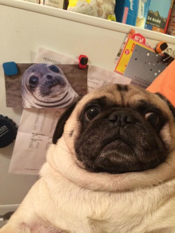 long lost twins awkward moment seal know your meme 4ef long lost twins awkward moment seal know your meme