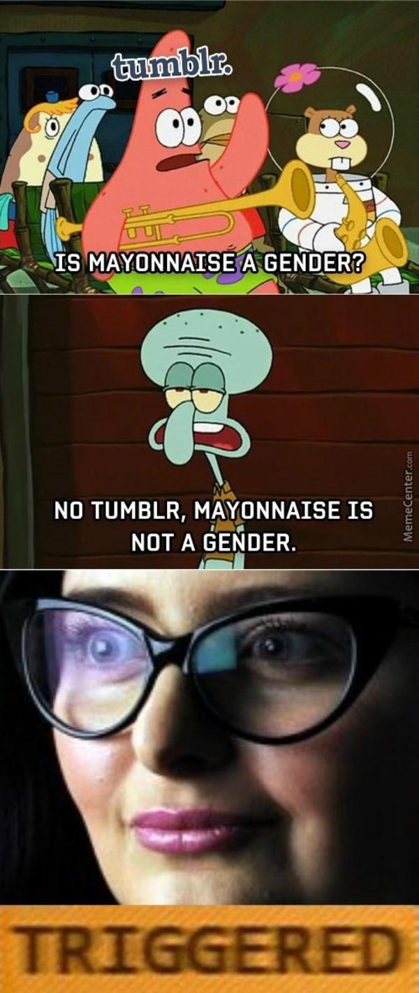 Mayonnaise is not a gender Tumblr Know Your Meme