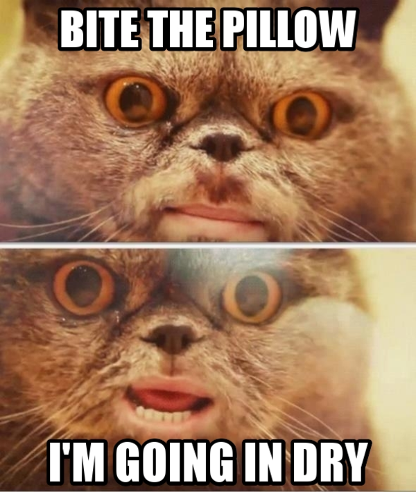 [Image 880044] Bite the Pillow Know Your Meme