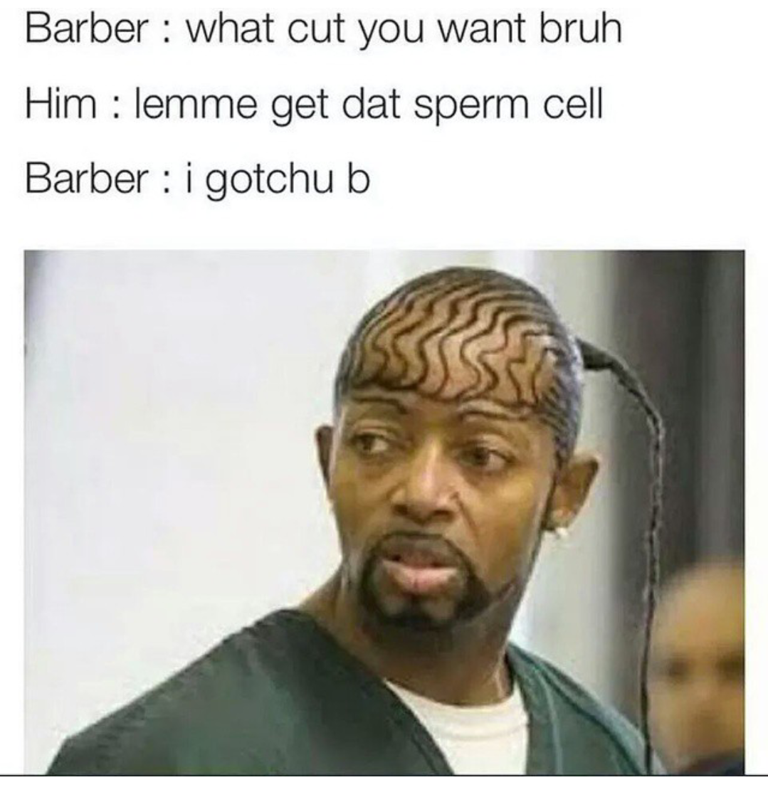 Sperm Cell The Barber Know Your Meme Sperm Cell The Barber Know Your Meme