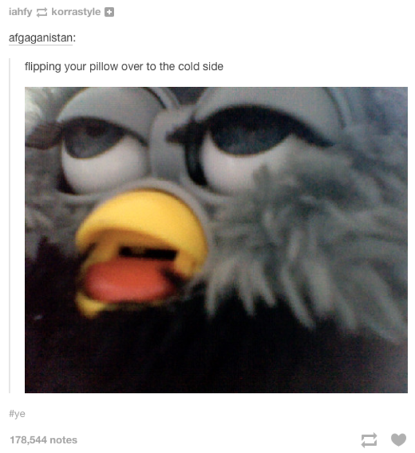 The Best Side Tumblr Know Your Meme