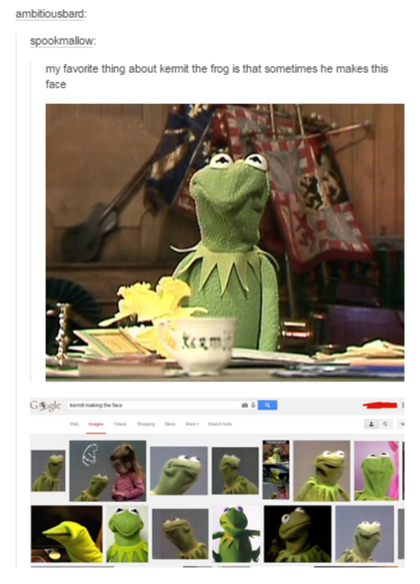 kermit the frog my face when