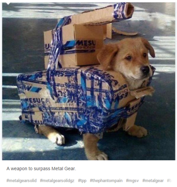 metalgeardog | A Weapon to Surpass Metal Gear | Know Your Meme