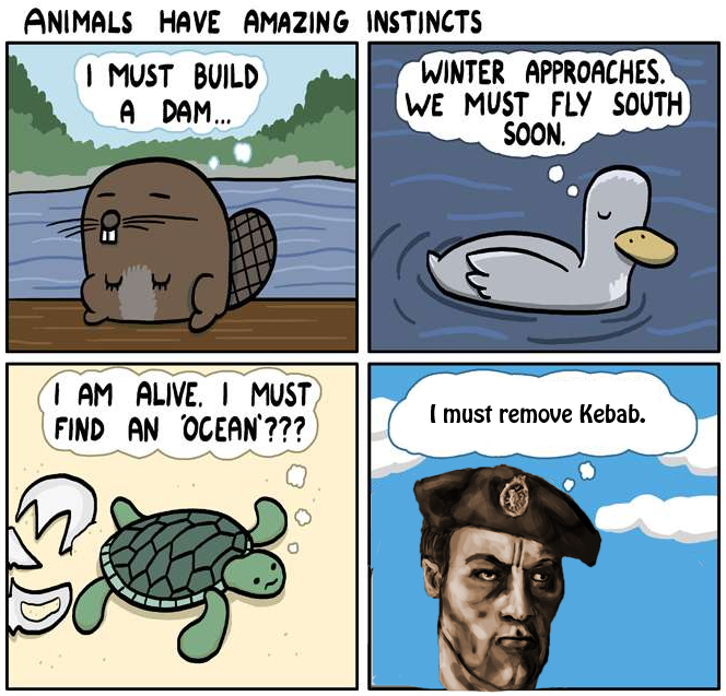 know your meme remove kebab