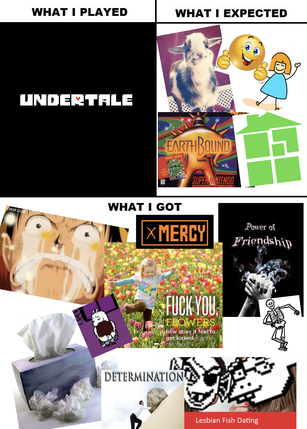 what-i-watched-what-i-expected-what-i-got-undertale-know-your-meme
