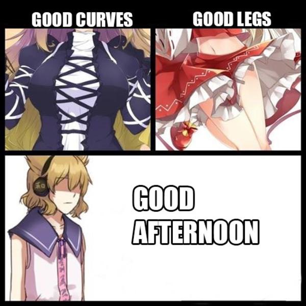 Good Afternoon Touhou Project 東方project Know Your Meme