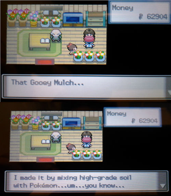 Mulch Pokémon Know Your Meme