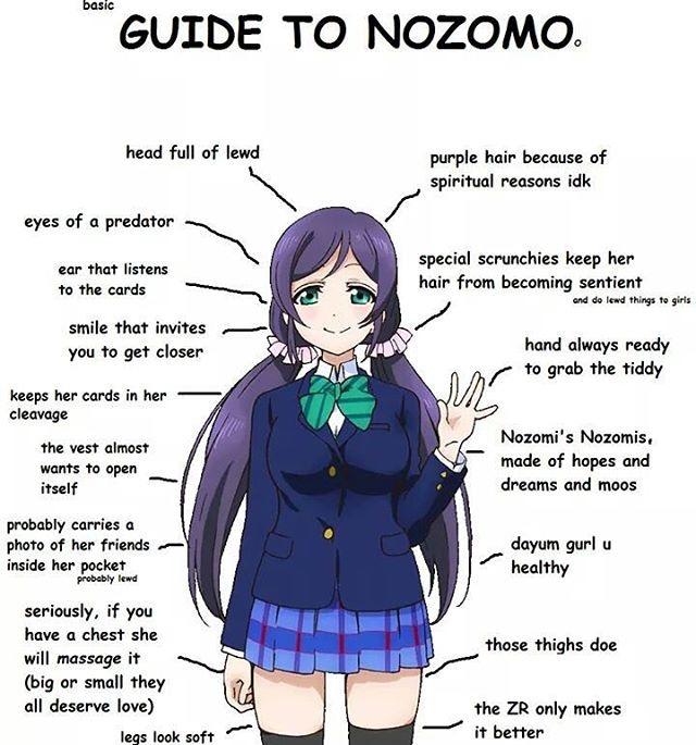 Basic Guide to Nozomo | Nozomi Toujo | Know Your Meme