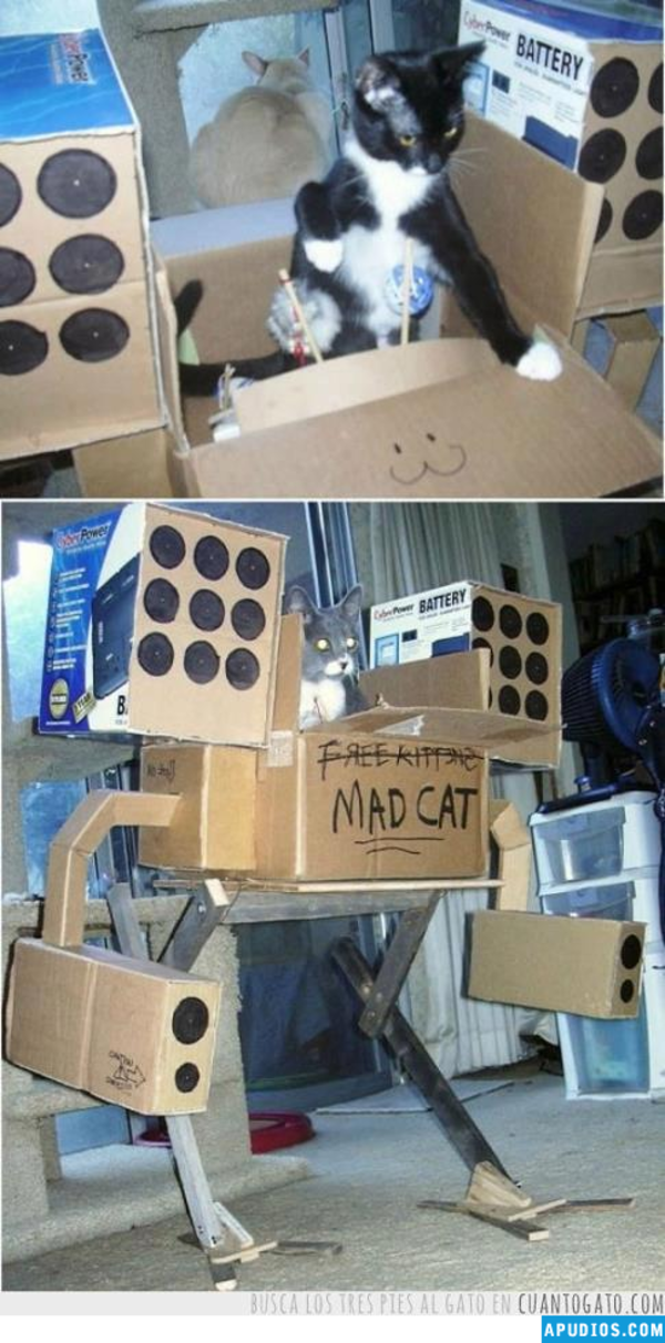 Cardboard Box BattleMech Cats Know Your Meme