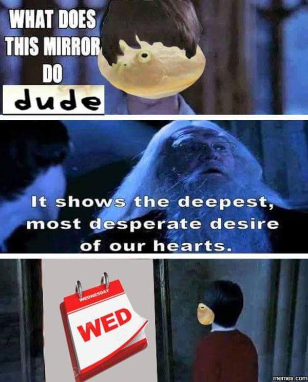 Harry Potter It Is Wednesday My Dudes Know Your Meme