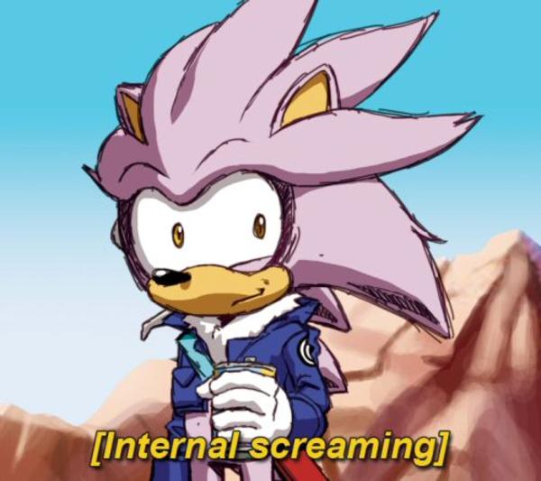 "I'll be your mommy..." Sonic the Hedgehog Know Your Meme