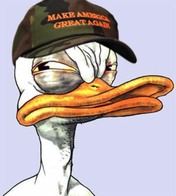 donald duck with hat