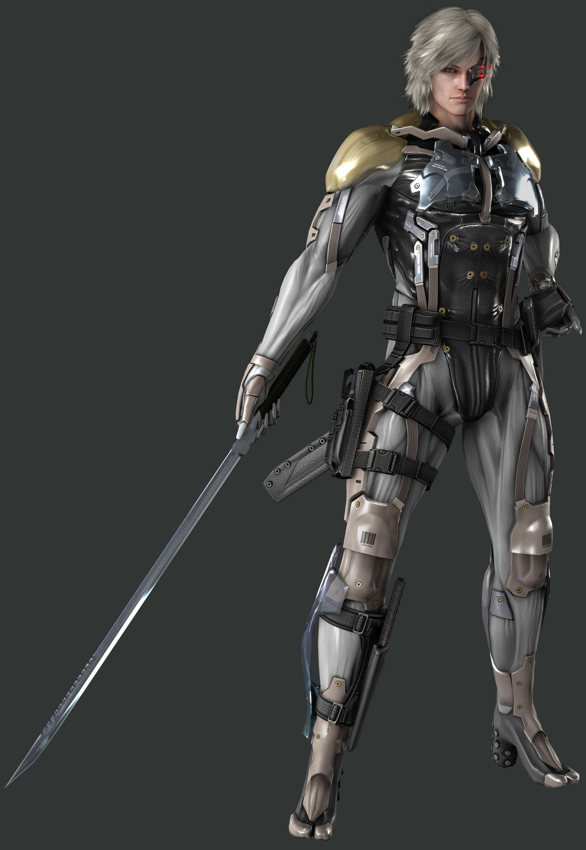 Raiden | Metal Gear Rising: Revengeance | Know Your Meme