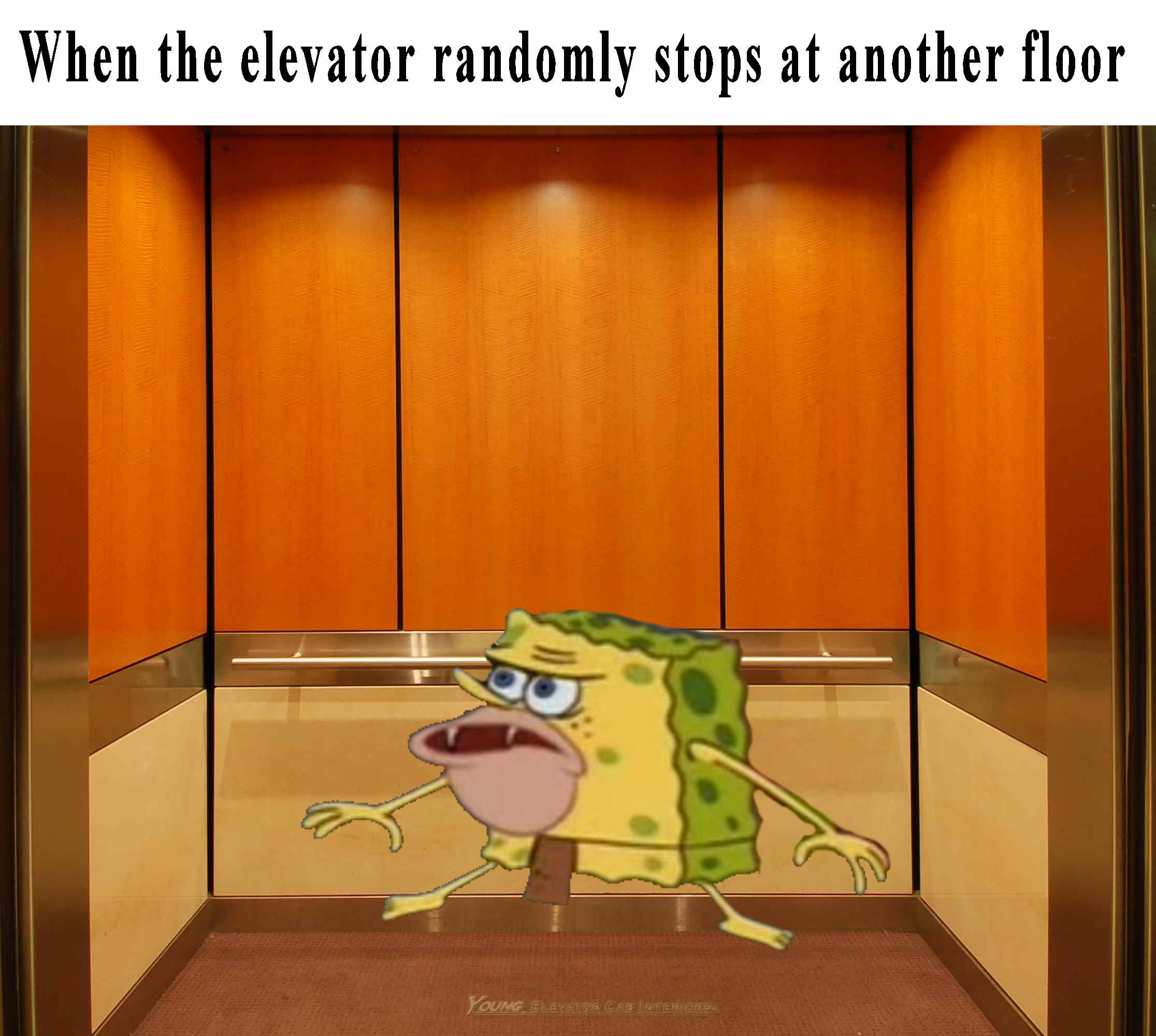 When The Elevator Randomly Stops At Another Floor Spongegar