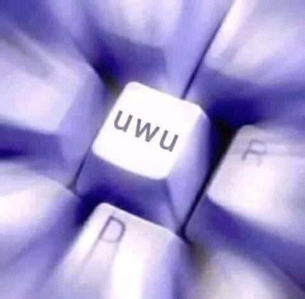 uwu key | uwu | Know Your Meme