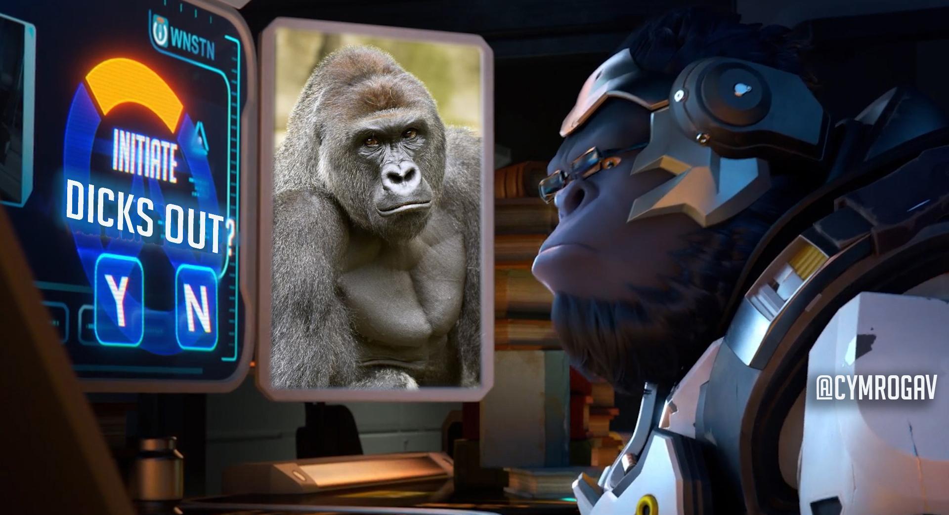 never forget overwatch know