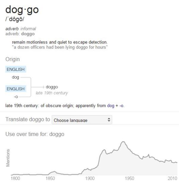 Google Dictionary Definition Doggo Know Your Meme