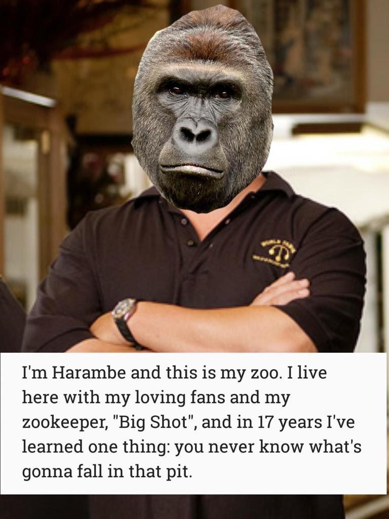 Pawn Stars Harambe the Gorilla Know Your Meme