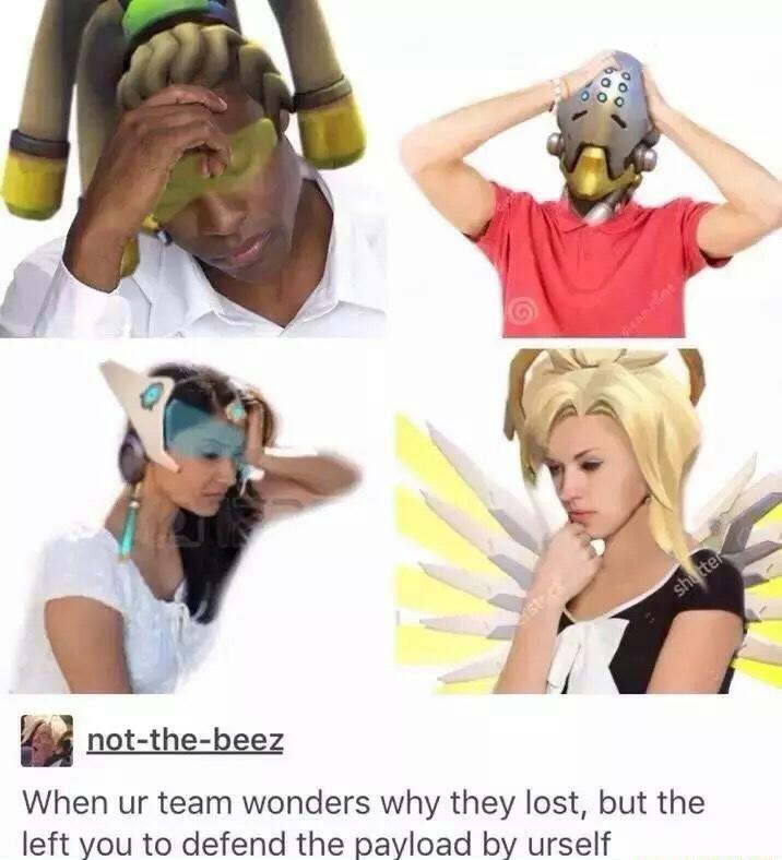 Life of a Support | Overwatch | Know Your Meme