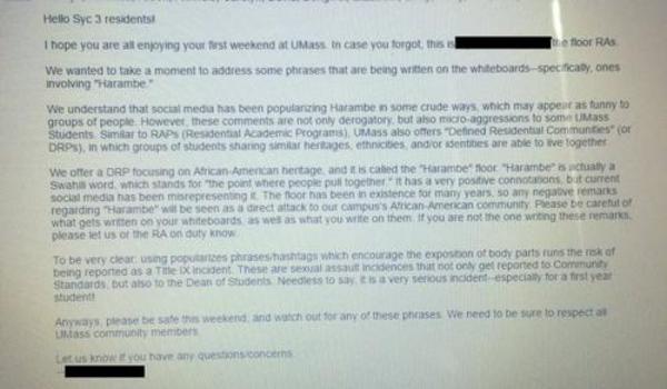 umass email harambe the gorilla know your meme