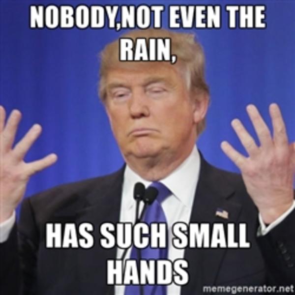 The Rain Has Small Hands Donald Trump's Small Hands Know Your Meme