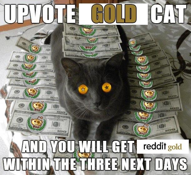 Your Reddit Gold Meme