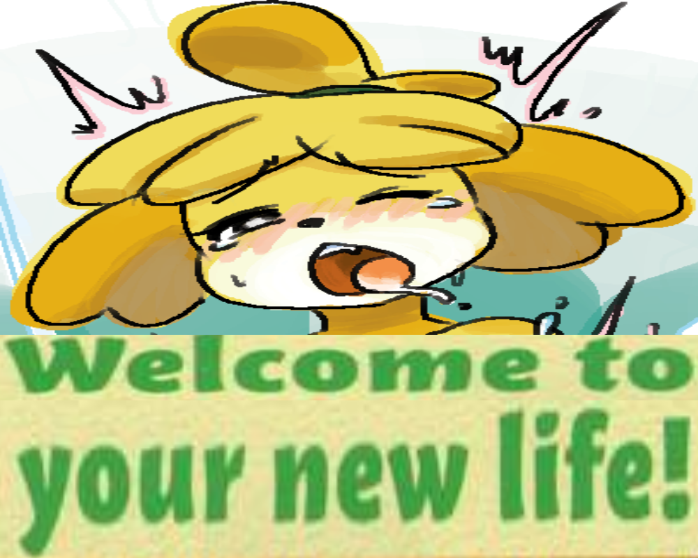 This Is Your Life Now Expand Dong Know Your Meme