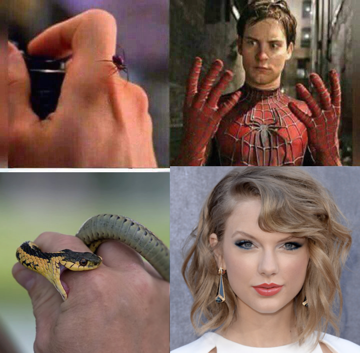 Taylor Swift Is A Snek Peter Parker s Spider Bite Know Your Meme