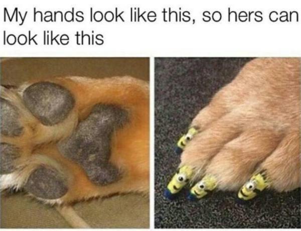 what dog breeds use their paws like hands