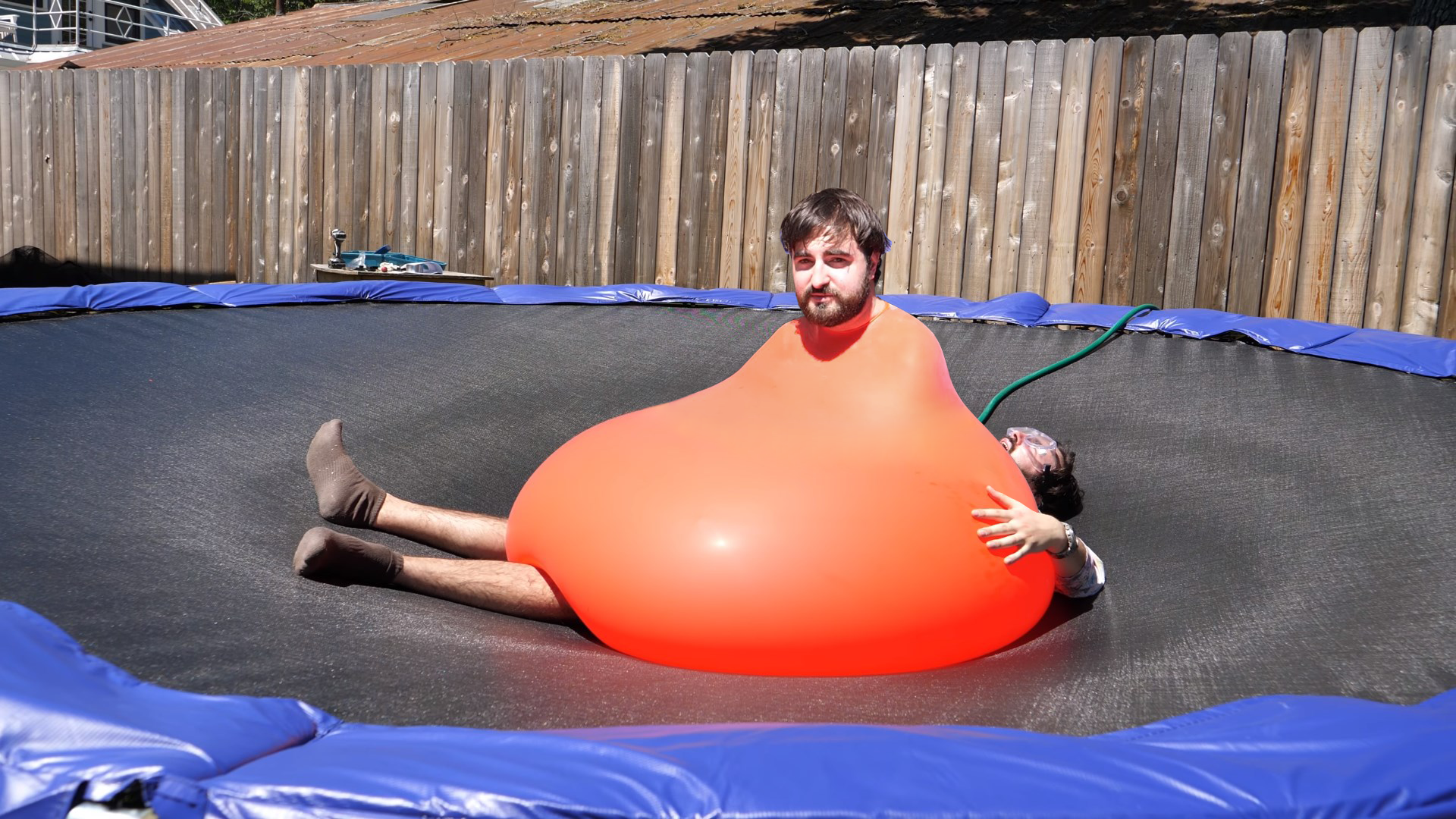 �������� ���� ����