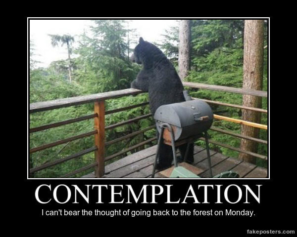unbearable demotivational posters know your meme demotivational pic