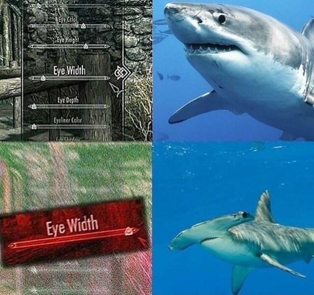 Shark To Hammerhead Eye Width Skyrim Eye Width Know Your Meme