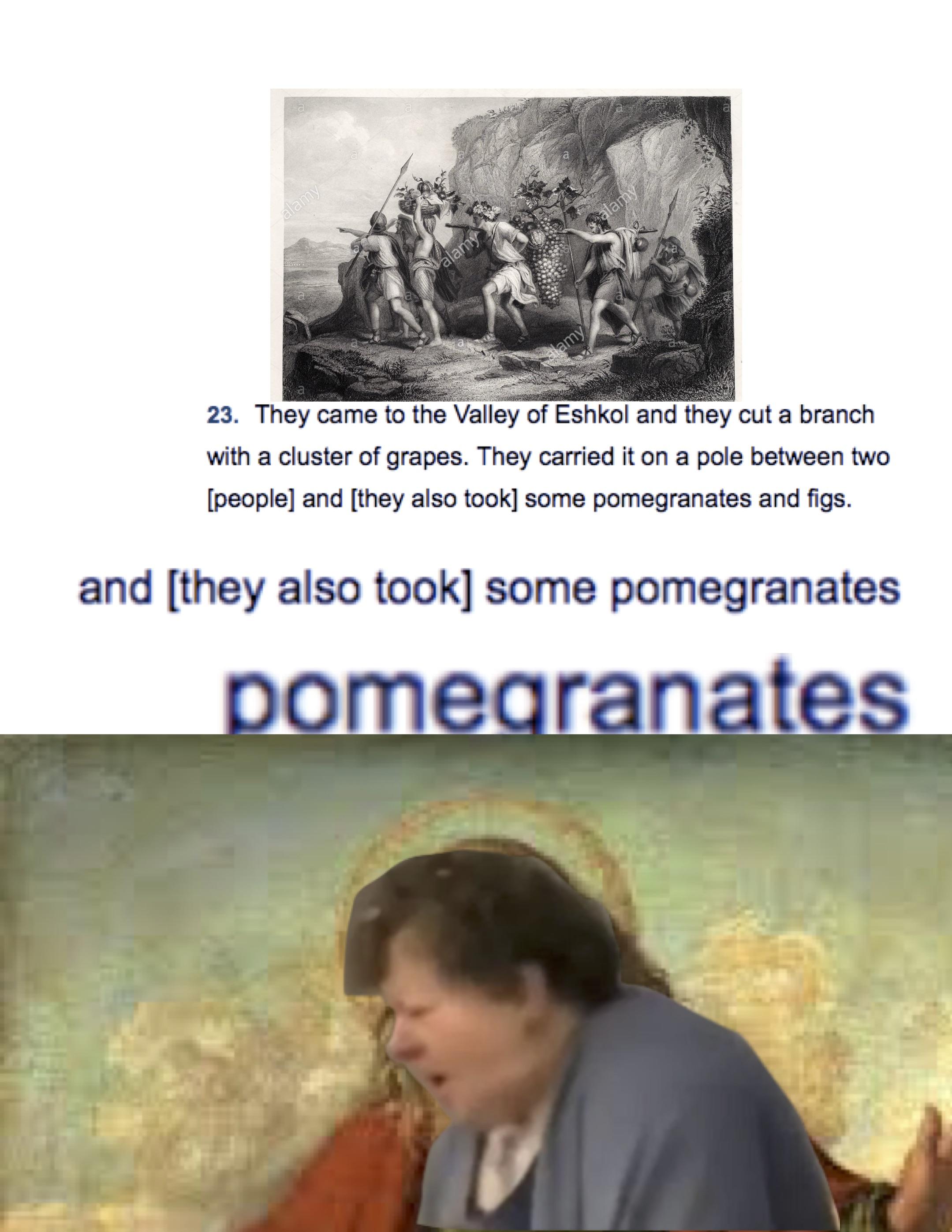Numbers Chapter 14 Verse 23 No Pomegranates Know Your Meme