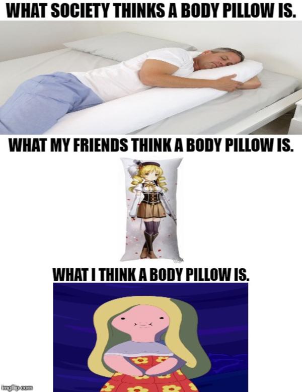 The Different Perspectives Of Body Pillows Adventure Time Know