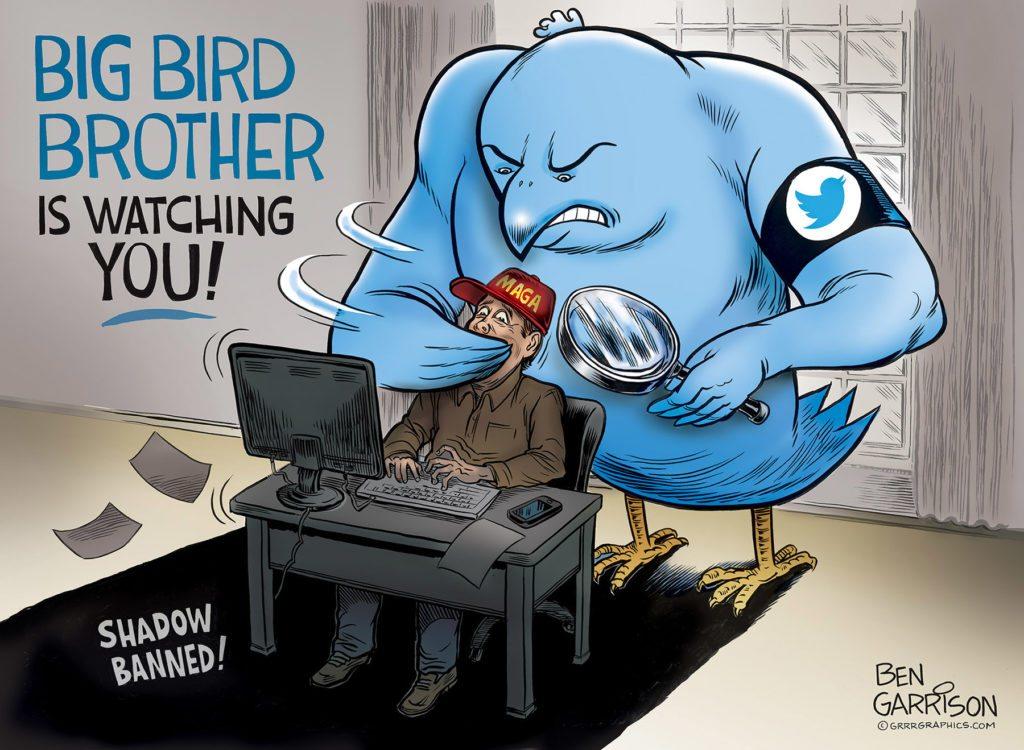 Big Bird Brother | Ben Garrison | Know Your Meme