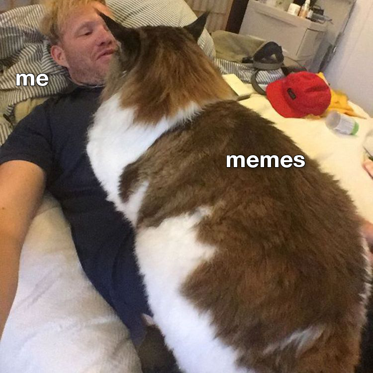 Memes are a 28 pound weight on my chest Memes Know Your Meme