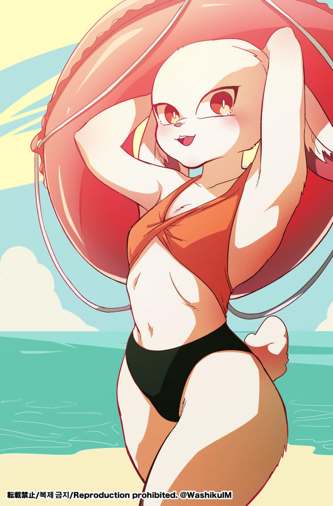 Sorrel At Beach Dragon Ball Know Your Meme