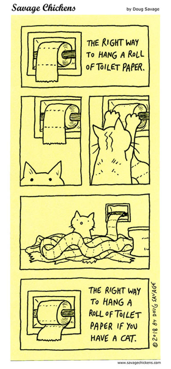 The Right Way The Great Toilet Paper Debate Know Your Meme