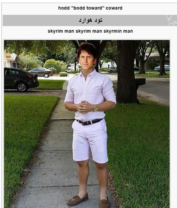 Todd Howards Birthday Wikipedia Raid | Todd Howard | Know Your Meme