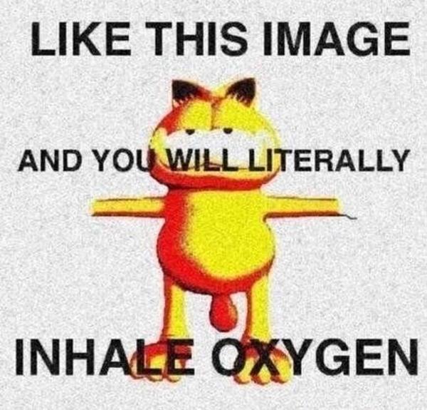 like this image and you literally inhale oxygen TPose Know Your Meme