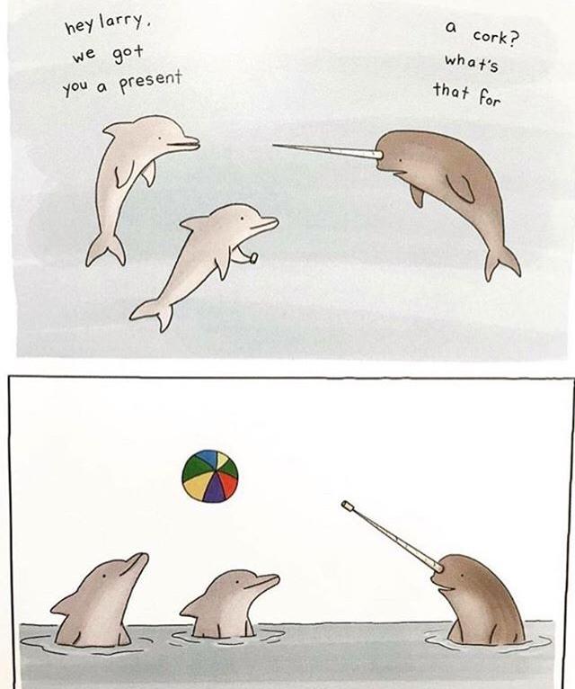 Dolphin Makes A Friend Wholesome Memes Know Your Meme
