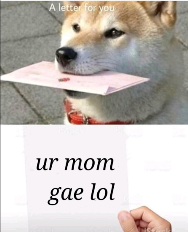 Ur Mom Gae A Letter For You Know Your Meme
