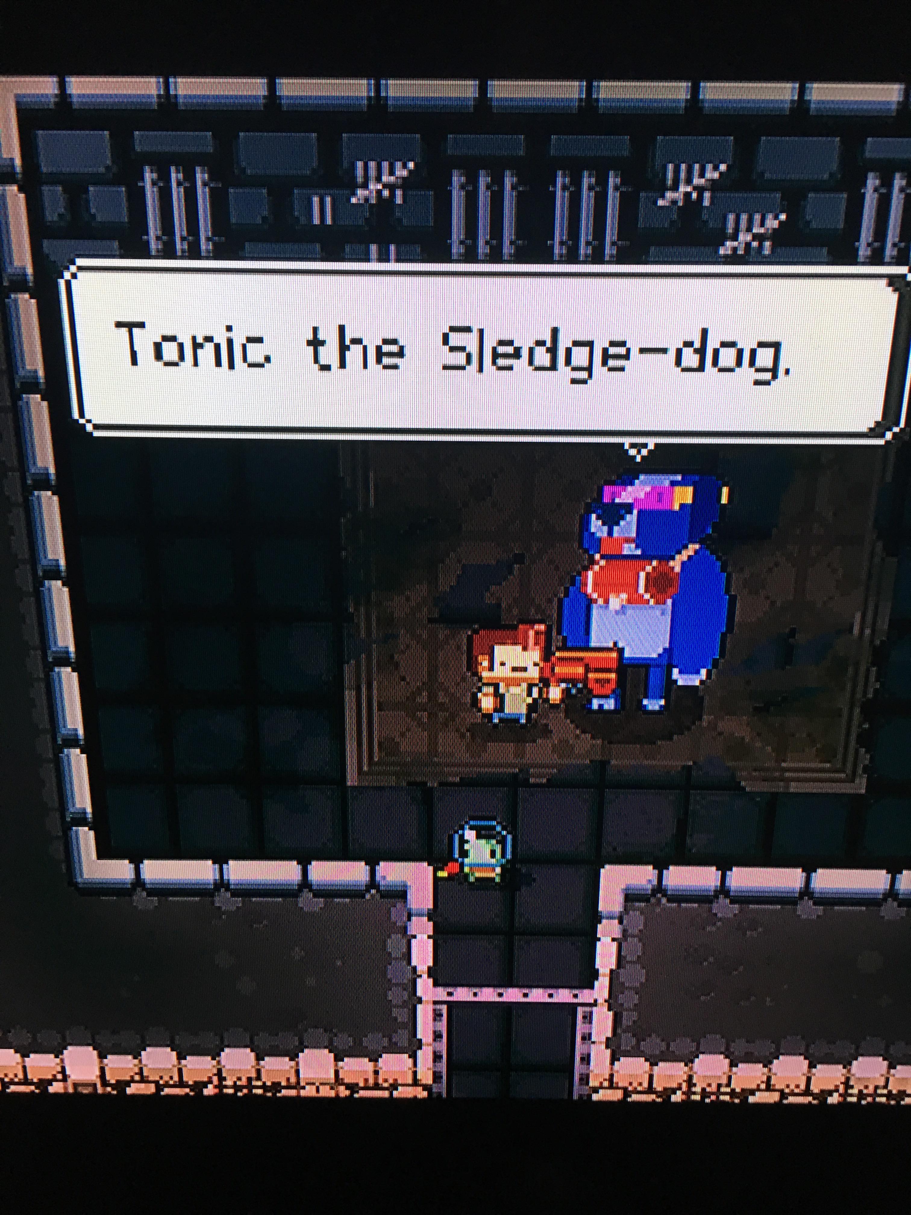 I love gungeon Enter the Gungeon Know Your Meme