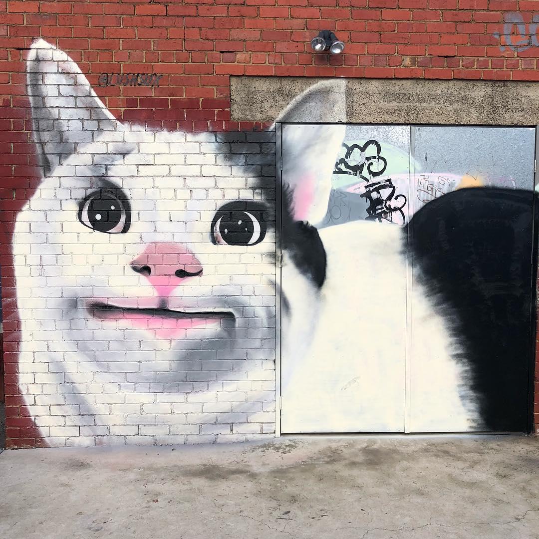 Mural by Lushsux Polite Cat Know Your Meme