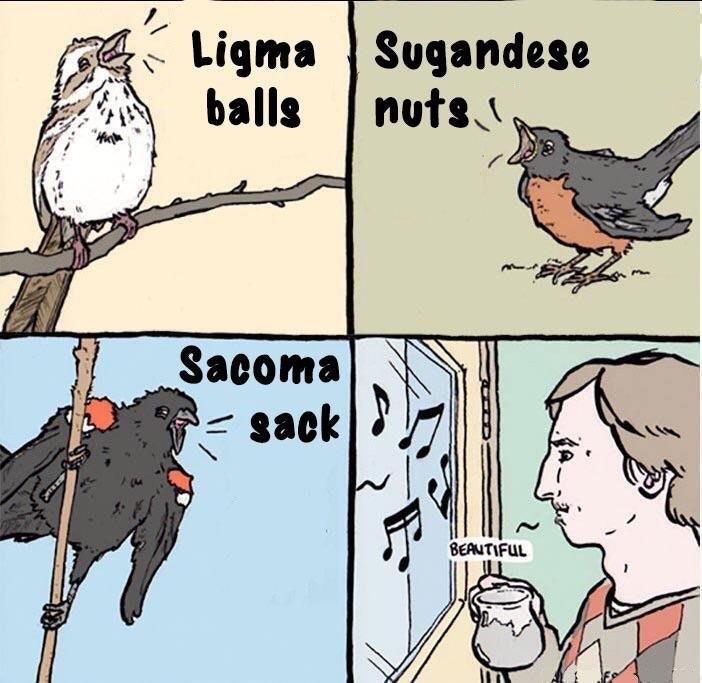 Ligma balls / Sugandese nuts / sack / beautiful Ligma Know Your Meme