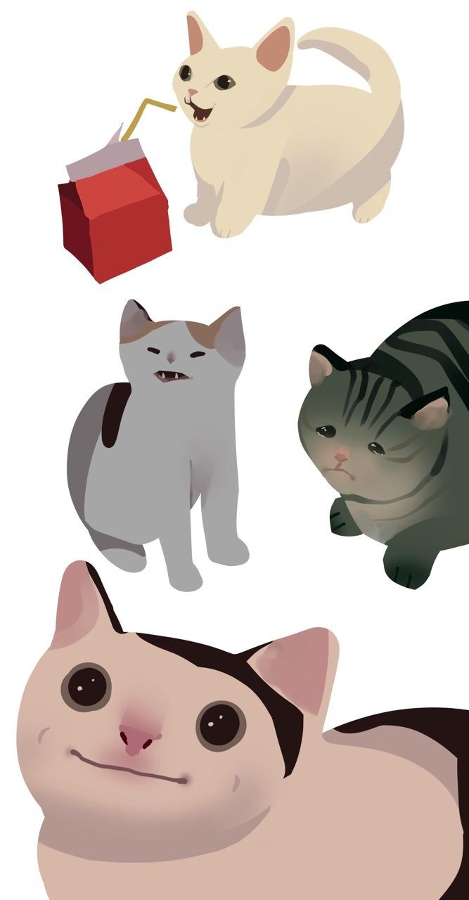 Polite Cat with others Polite Cat Know Your Meme