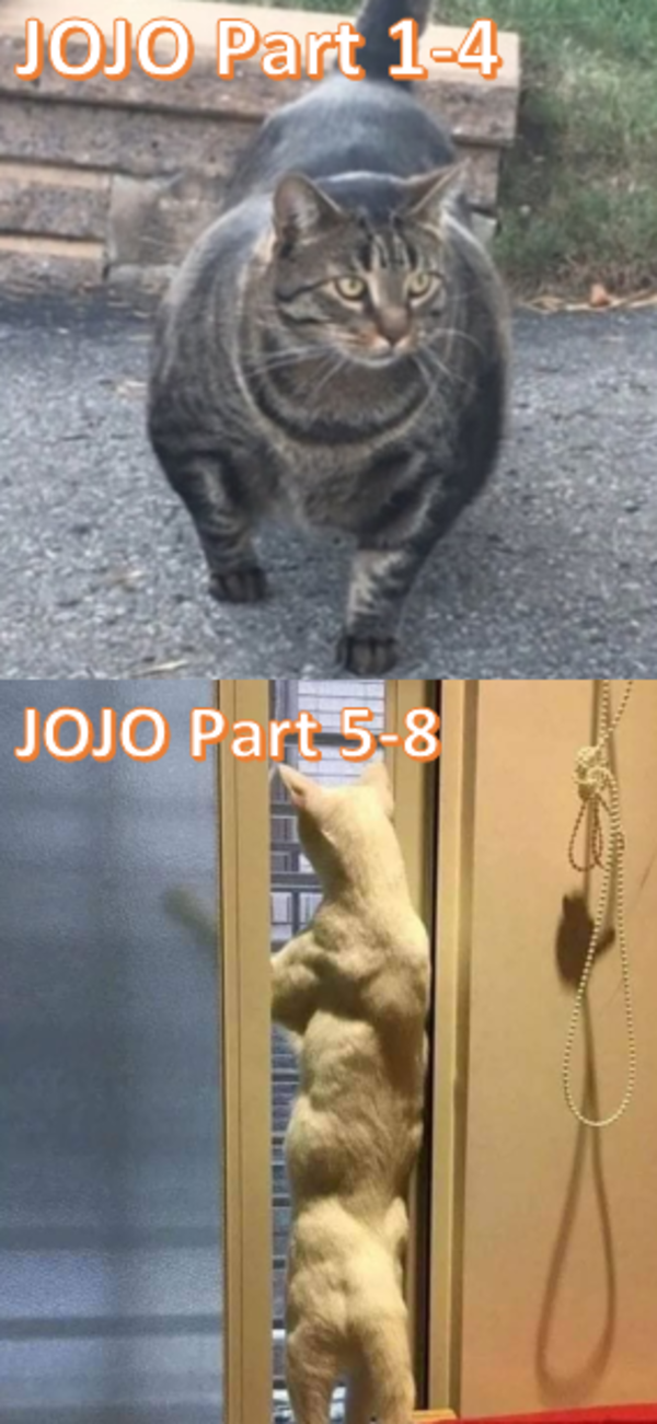buff bois | JoJo's Bizarre Adventure | Know Your Meme