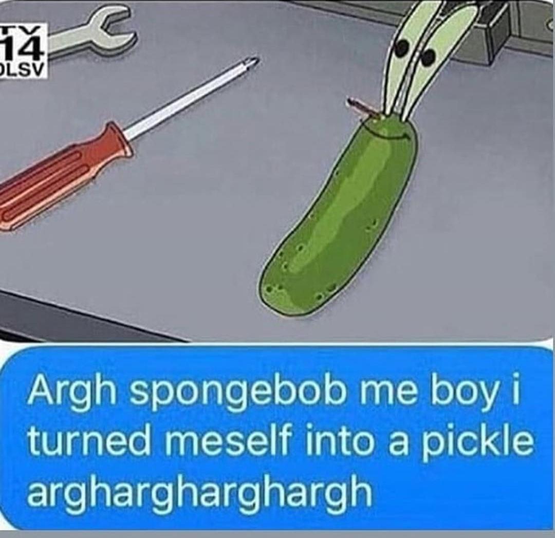 Is this what true beauty looks like? | Pickle Rick | Know Your Meme