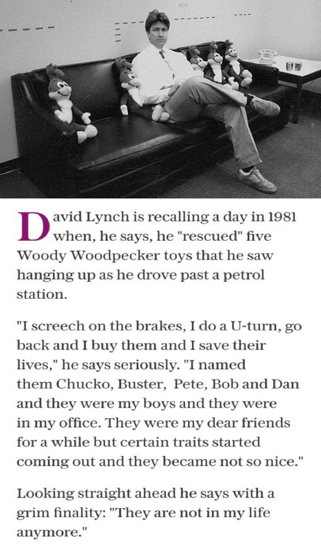 What Did You Do Mr Lynch Tumblr Know Your Meme What Did You Do Mr Lynch Tumblr Know Your Meme